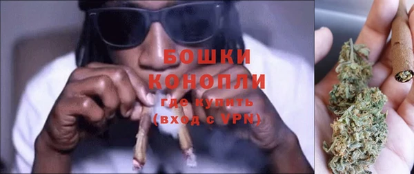 индика Белокуриха