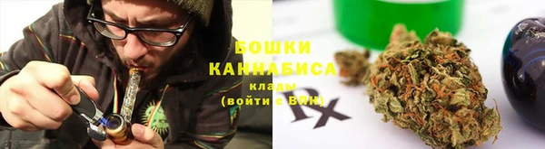 индика Белокуриха