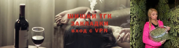 индика Белокуриха