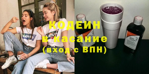 индика Белокуриха