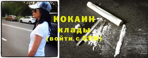 индика Белокуриха