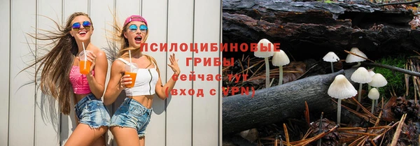 индика Белокуриха