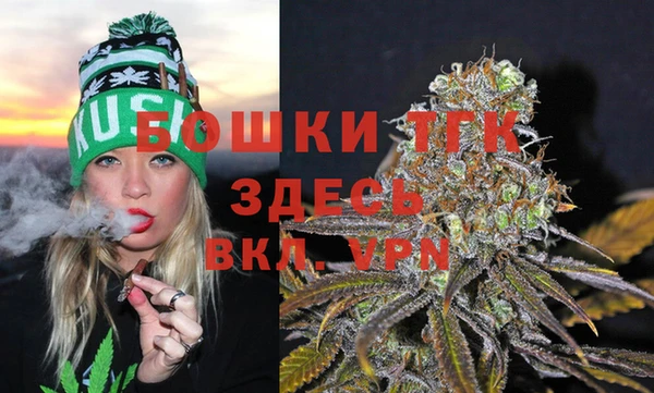 индика Белокуриха
