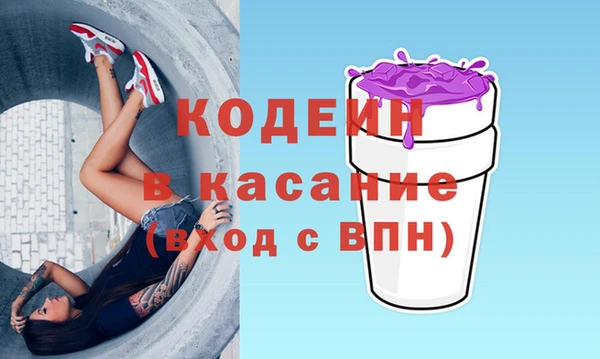 индика Белокуриха