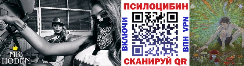 площадка клад  Пионерский  Галлюциногенные грибы мицелий 