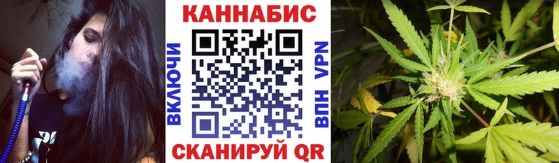 Шишки марихуана Bruce Banner  Пионерский 